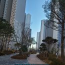 복단지아이파크시티공인중개사사무소 | 뷰맛집 대전아이파크시티2단지 104B타입 전세 6억