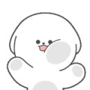 베스애견 이미지