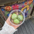 성안나유치원 | 일본 도쿄 여행 꿀팁2 (스이카, 클룩, 이심, 디즈니씨&amp;디즈니랜드)