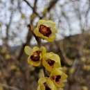 구심농장 이미지