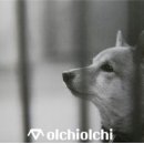 소풍동물병원 이미지