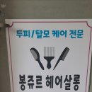 달리살롱 이미지