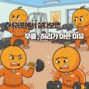 더조아짐 이중섭거리점 헬스&PT 이미지