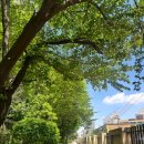 이주건축디자인(주) | 50년 다된 재건축 아파트 환장의 실거주 후기 (1978년산 신반포2차 사계절 몸테크 기록)