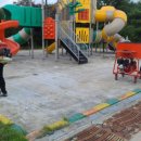 영흥초등학교 이미지