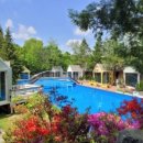 숲속의 행복마을 이미지