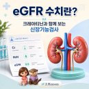 크레아티닌이 높고 eGFR이 낮을 때 확인해야 할 것 이미지