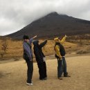 멍멍이랑 호호아줌마 | 알찬 훜오카