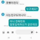 8월 멜버른(7) - 필립아일랜드 투어(조이투어), Naau cafe, 호주 국내선 콴타스 항공 이용 후기(멜버른...