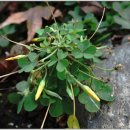 양영디지털고등학교 이미지