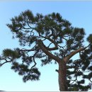 창녕옥야중학교 이미지