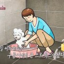 구름밭농장 이미지