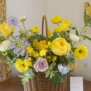 중앙동325 이미지