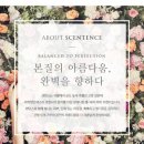 더아름다움뷰티 이미지