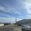 파인필드 이미지