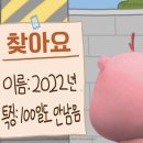 노벰버11