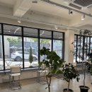 이디야커피 울산우정혁신점 | 울산 수플레맛집 이프커피 우정혁신도시점