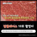 [밥플레이스 18회 촬영지] 설악산 품은 속초에서 한우...샌드도 먹고 feat. 투뿔 넘버나인 한우 맛집...