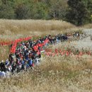정선군 종합관광안내소 이미지