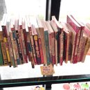 젤리포 | [대전] 갈마동 푸딩 맛집 카페 젤리포에 내돈내산 후기