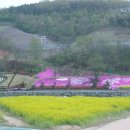 백세공원 이미지