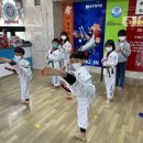 용인대 금강 태권도장 이미지