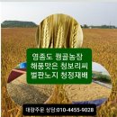 당뇨.혈압 으뜸곡물 2023년도가을수확분 청보리.흑찰쌀보리(영종도산) 이미지