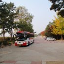 2313-한밤의 사진편지 제2313호(한사모 2015 가을철 걷기 둘째 날 후기-박해평 &#39;15/11/5/목)