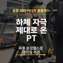 바디다짐 | 파주 운정헬스장 다다짐 PT 후기｜하체 자극 제대로 느낀 날