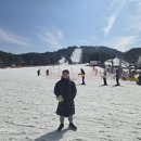 용평리조트 이미지