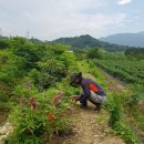 오솔길 농장 이미지