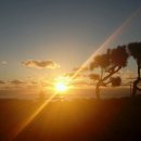 온평오션스퀘어 이미지