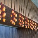 솔빛숲유치원 이미지