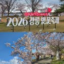 경포대가는길 | 2026 강릉 벚꽃축제 경포대 실시간 개화상태 (주차 핵꿀팁!! 숨은 벚꽃길 추천)