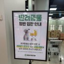멍단장 | 메가팩토리약국 광교점 이마트 수원창고형약국 방문후기