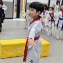 소나무어린이집 이미지