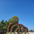 삼척시농업기술센터(원덕) | 삼척국화축제 국화축제 삼척국화전시회 국화향기 삼척바닷가