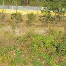 광양와우초등학교 이미지