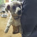 터미널길 이미지