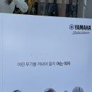 초여름 부산일기 2 (서희와제과/광안리소품샵투어/공극샌드커피/etc...)