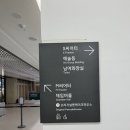광화문 맛집 | 오리지널 팬케이크 하우스 | 걸어갈 수 있는 미국🇺🇸🥞