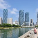 송도정상체스어학원