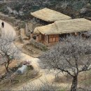 광양농원 이미지