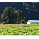 굴구지마을 이미지