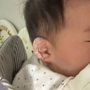 이어 | 6개월 아기 귀 교정, 결국 포기했습니다 (베이비이어 솔직 후기)