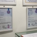 호텔펫코리아 이미지