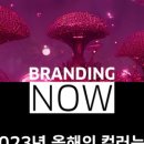 컬러커뮤니케이션즈 이미지