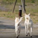 산울림민박 - 통영시 대항길 5 | 산울림민박