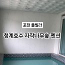청계호수자작나무숲펜션2