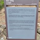영천 귀애정 | 봉림산(698.1,영천),방가산,살미산(자심봉?),방가사~오리장림,귀애고택,임고서원
